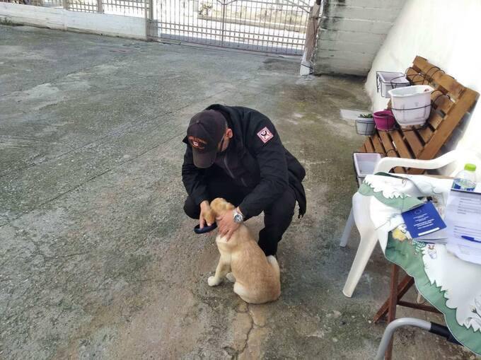 Έλεγχοι για δεσποζόμενα ζώα από τον Δήμο Νάουσας